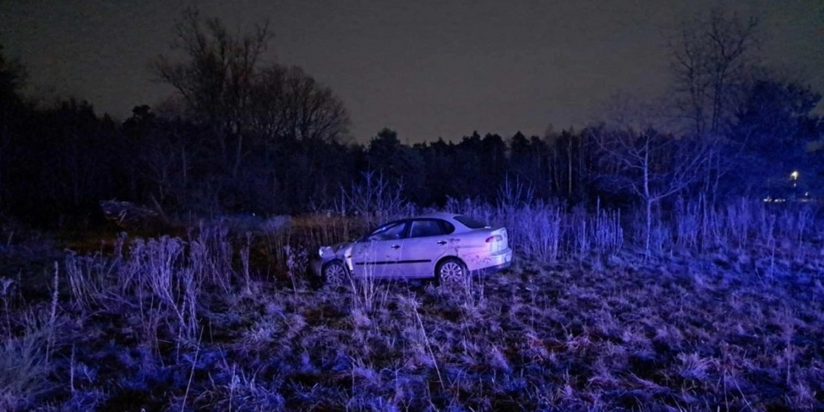 Wypadek w Stobiecku Szlacheckim. Auto księdza zderzyło się z końmi - zdj. radomsko24.pl.