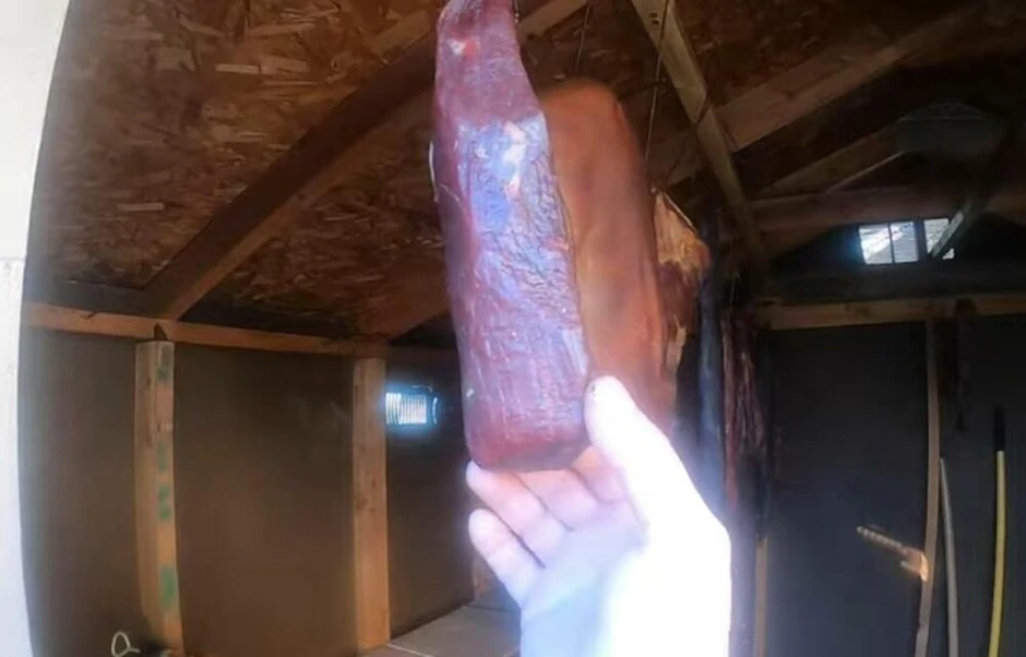 Pušnjica Vanje sa Balkana u Americi