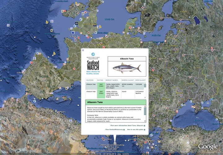 Tak jak w przypadku zwiedzania wirtualnego Paryża czy Nowego Jorku, i tym razem użytkownik Google Earth może obejrzeć podmorskie cuda z każdej strony, opływając skały lub nurkując na rafie