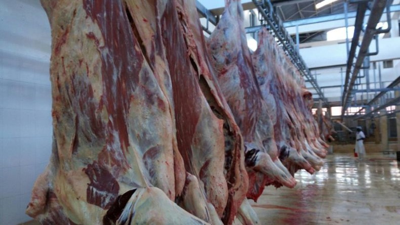 Kenya Meat Commission processing plant. (Informationcradle)