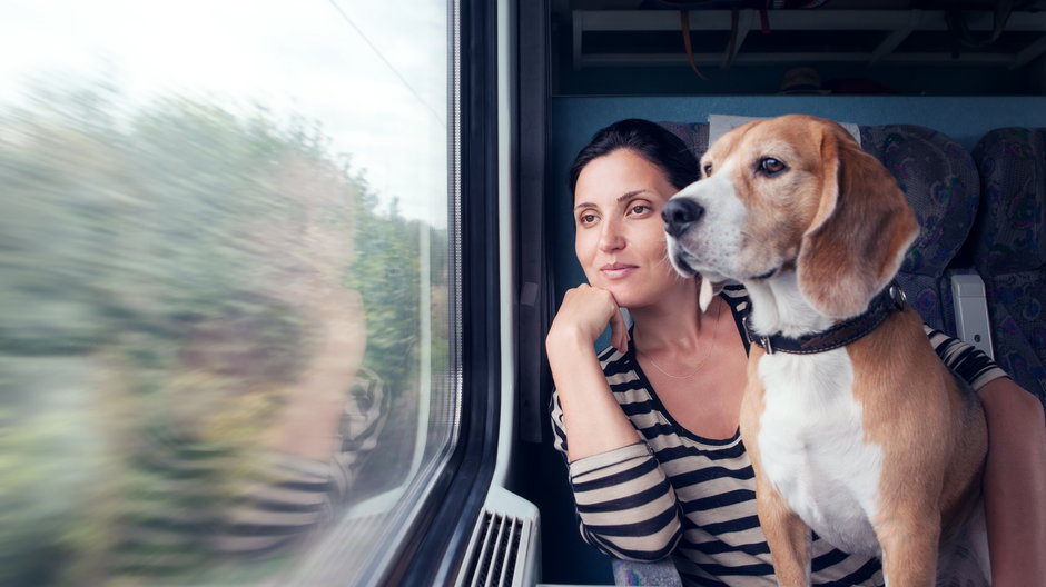 Przed podróżą pociągiem z psem warto zapoznać się z zasadami danego przewoźnika - Soloviova Liudmyla/stock.adobe.com