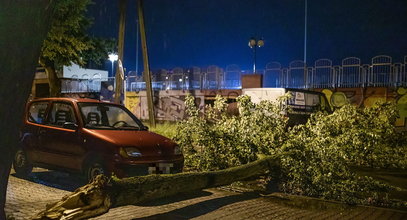 Halny w Tatrach. Silne porywy wiatru spowodowały spore zniszczenia, ale nie tylko