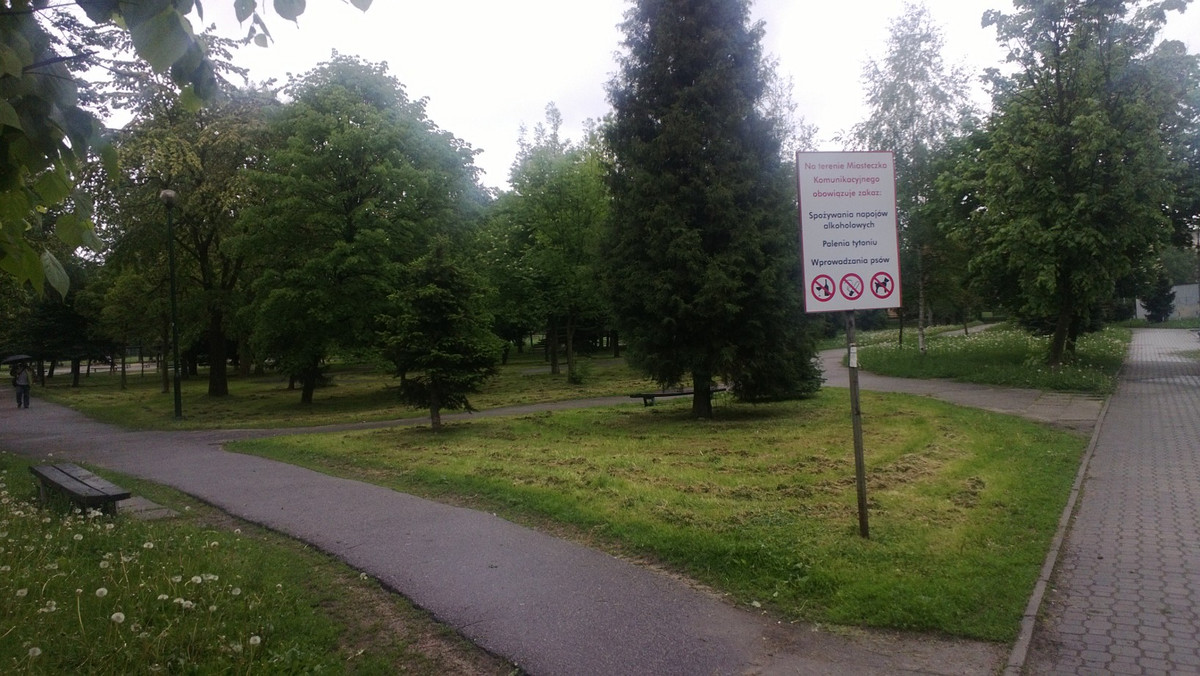 Mieszkańcy nie chcą, by nowotarski magistrat wyciął kilkadziesiąt drzew w ramach tworzenia przy ul. Wojska Polskiego tzw. miasteczka komunikacyjnego. Tymczasem doradca burmistrza zaznacza, że w Nowym Targu drzew nie brakuje.