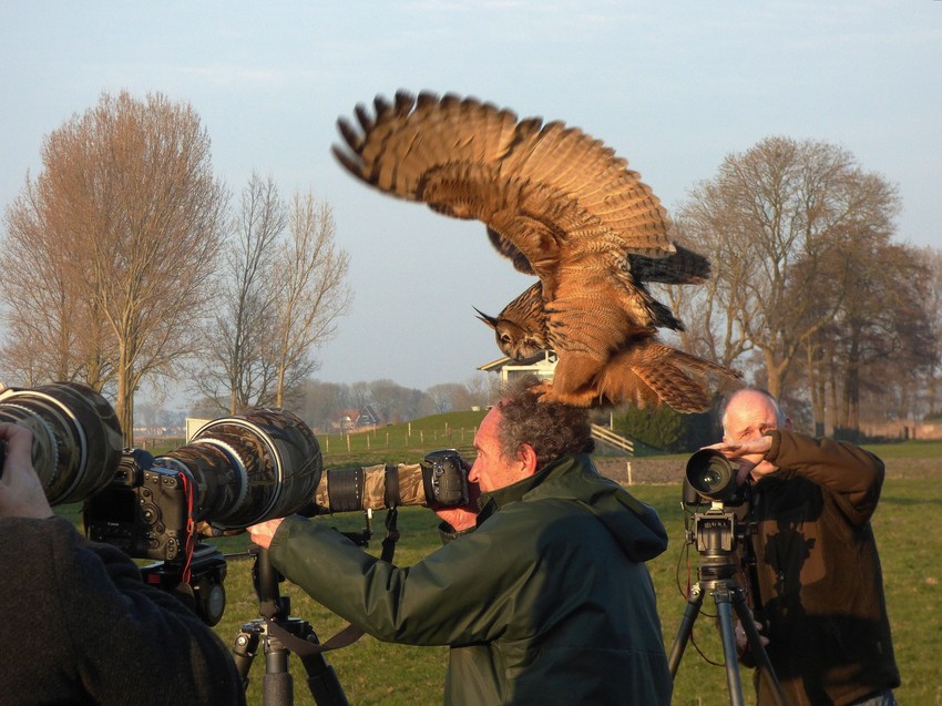 Verovatno želevši da otera ove posetioce sa čudnim napravama, sova je skočila na glavu fotografa