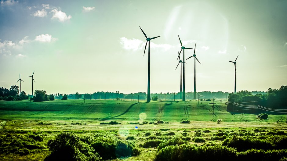 Klimatyczne samobóje, czyli o tym, jak Polska odrzuca własne warunki