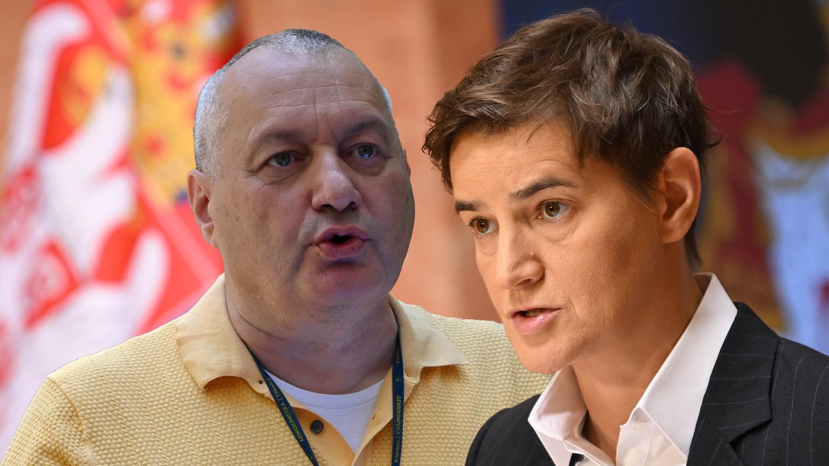Ana Brnabić Srđan Milivojević