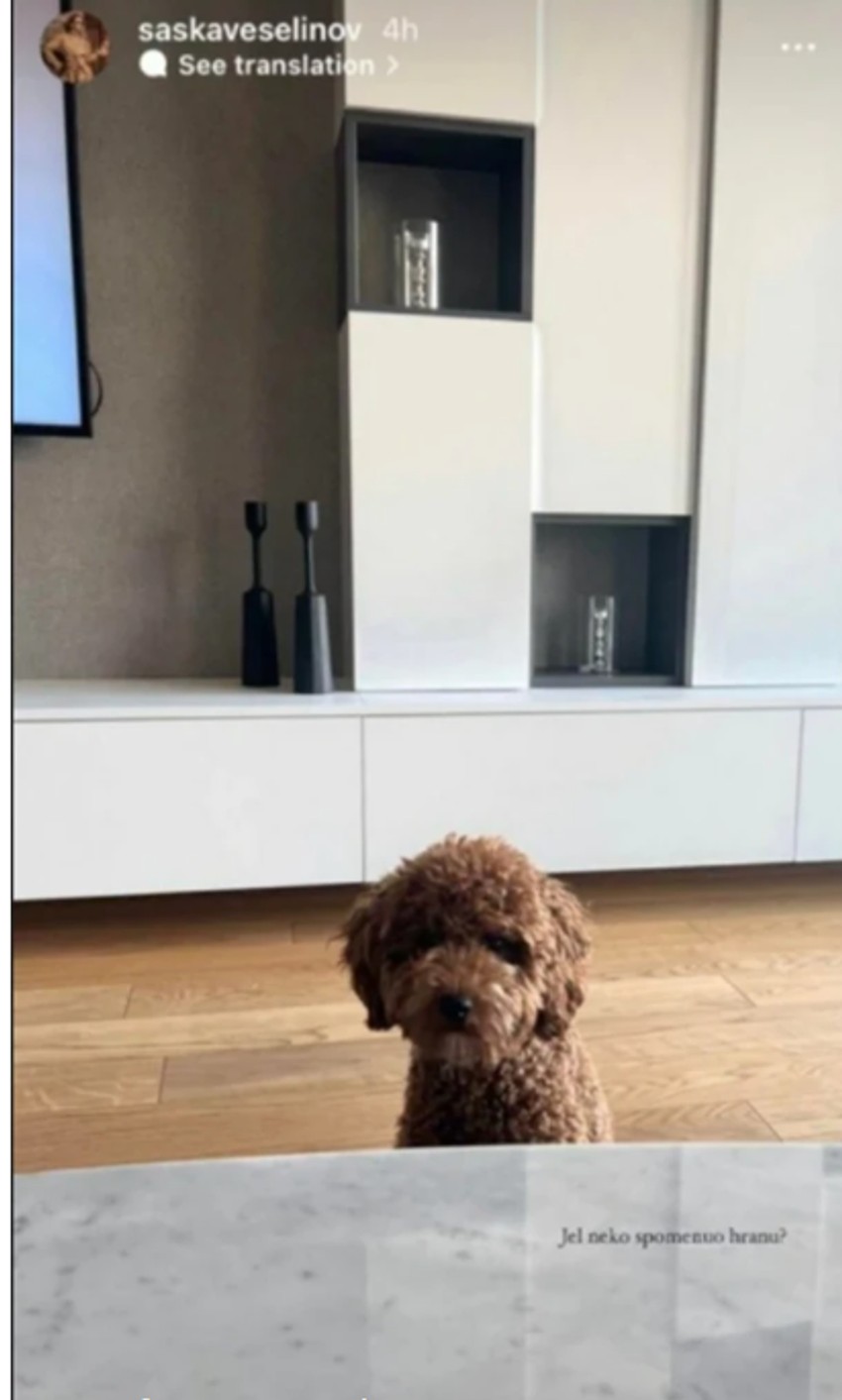 Stan Đoleta i Saške