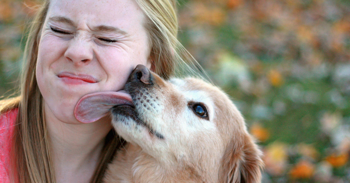 Siedem chorób, którymi możemy zarazić się od psa