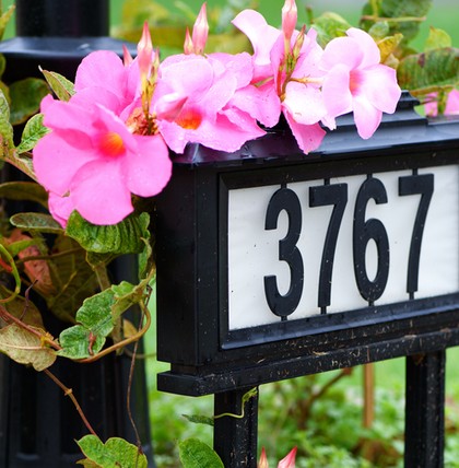 shutterstock 719134663