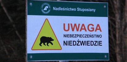 Krwawe spotkanie w Bieszczadach. Leśnik stracił dużo krwi!