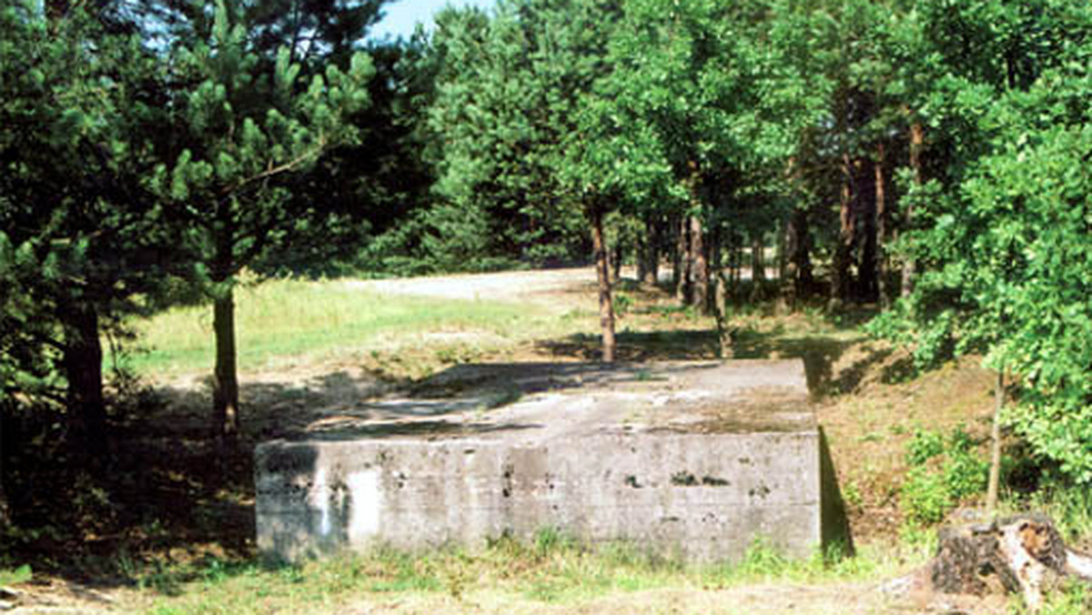 Kilka tysięcy turystów odwiedziło od sierpnia "Park historyczny Blizna" w gminie Ostrów w województwie podkarpackim. W tym miejscu od listopada 1943 do lipca 1944 roku Niemcy prowadzili doświadczenia nad rakietami V-1, sterowanymi drogą radiową, a następnie - V-2, napędzanymi silnikami odrzutowymi - podało Radio Rzeszów.