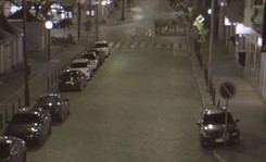 Słoń narobił w Poznaniu. Nowy sposób na walkę z problemem psich odchodów