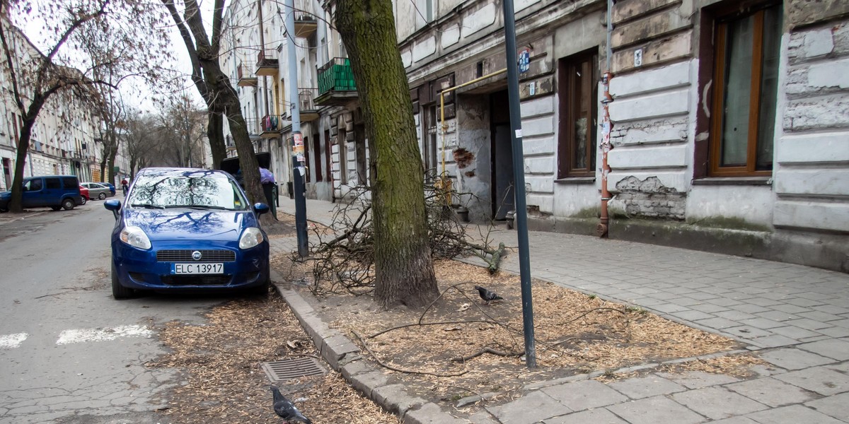 Miasto zaczyna wiosenne porządki 