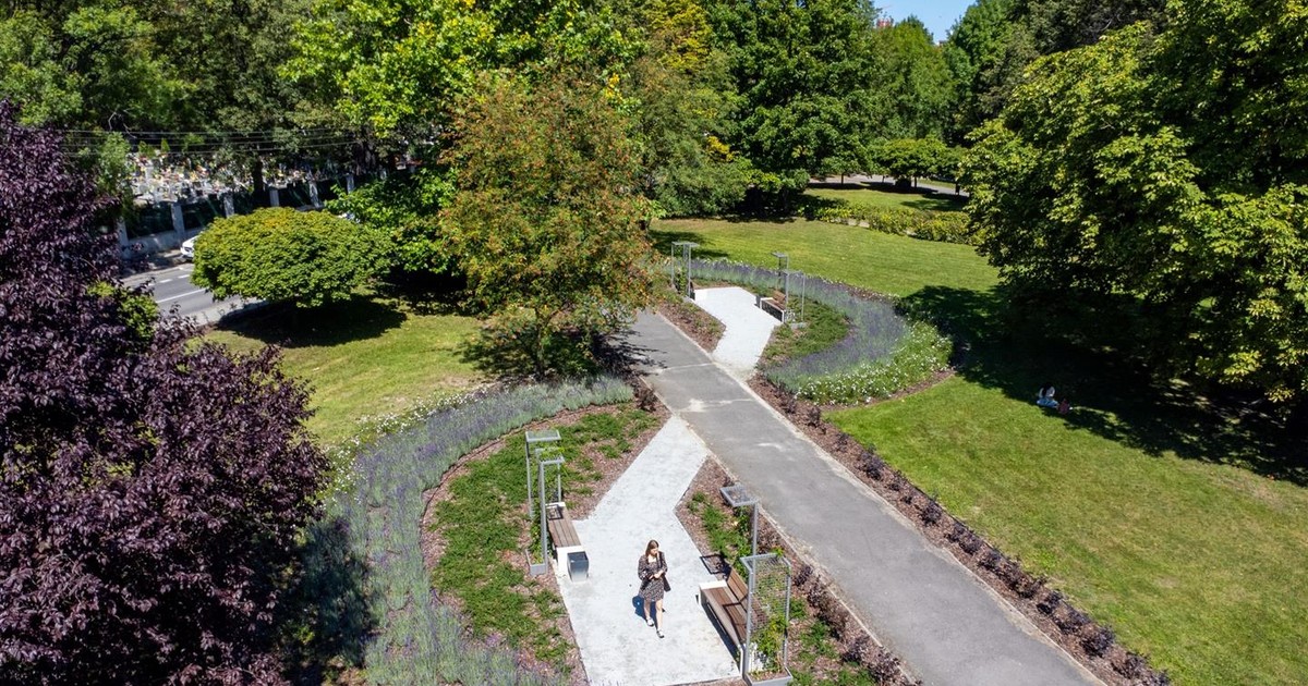 Zielony Budżet Obywatelski. W Katowicach mamy 121 zwycięskich projektów