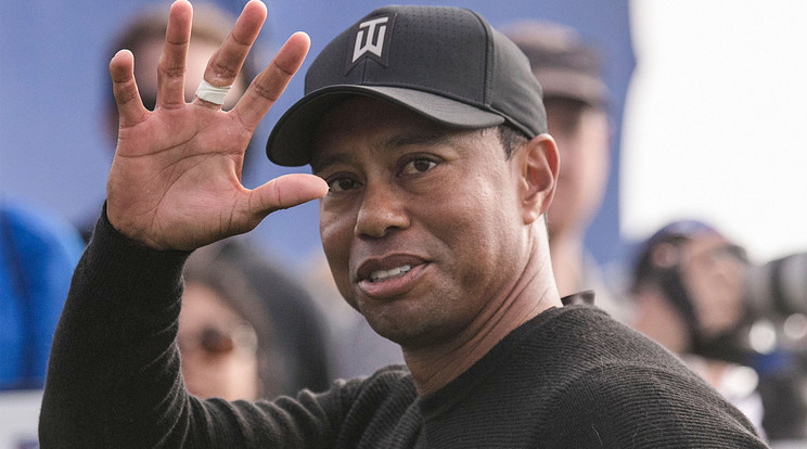 Nem történt bűncselekmény Tiger Woods autóbalesetekor /Fotó: Northfoto