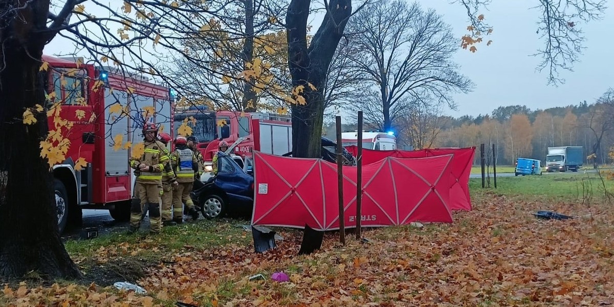 Wypadek w powiecie krapkowickim. 