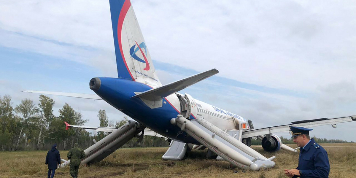 Samolot Ural Airlines, który awaryjnie lądował na polu