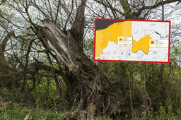 alert imgw dla 10 województw. silny wiatr, przymrozki oraz roztopy