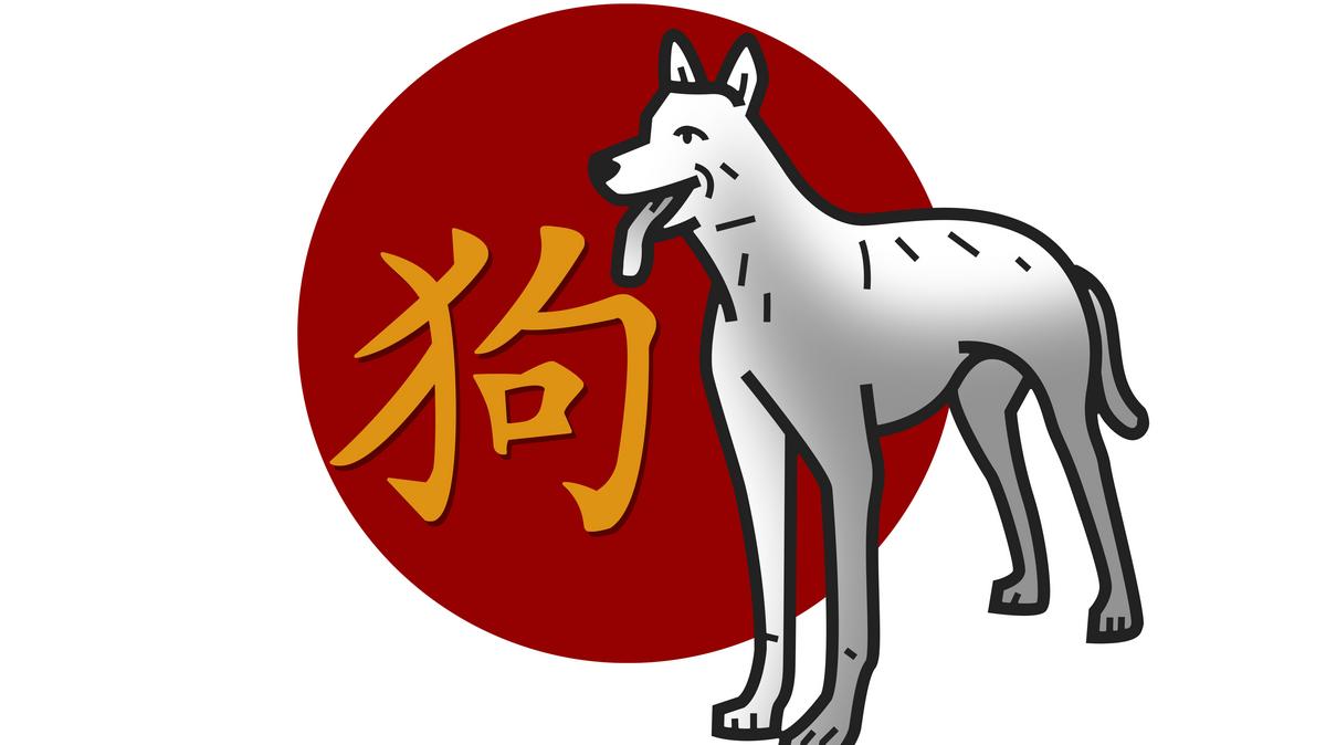 Kínai horoszkóp-előrejelzés januárra a Kutyáknak: kilábalhatsz kedvezőtlen  pénzügyi helyzetedből, remek állásajánlatot kapsz, az összes kellemetlen  helyzetnek január végére hűlt helye lesz - kiskegyed.hu