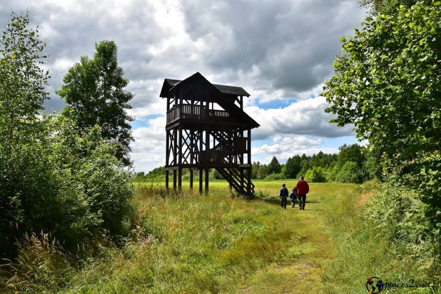 Wieża widokowa Bagno Ławki