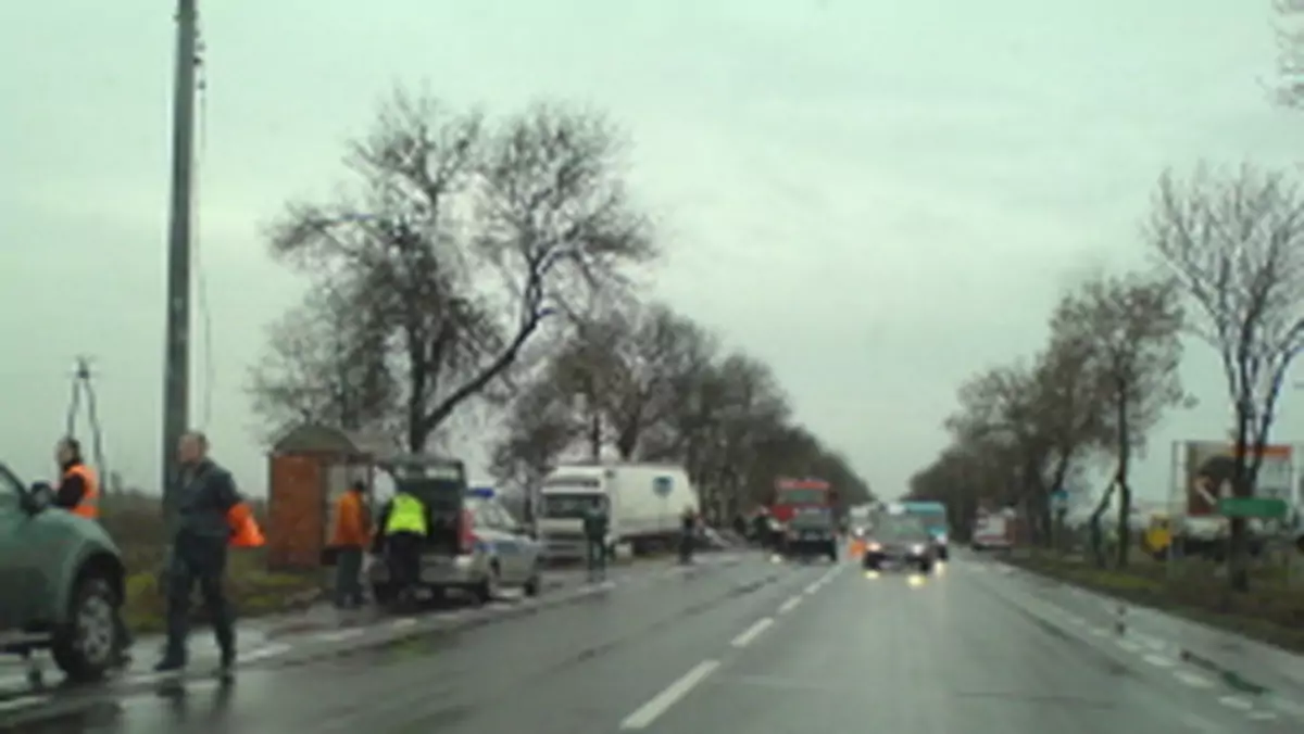 Cztery osoby zginęły w wypadku pod Mińskiem Mazowieckim