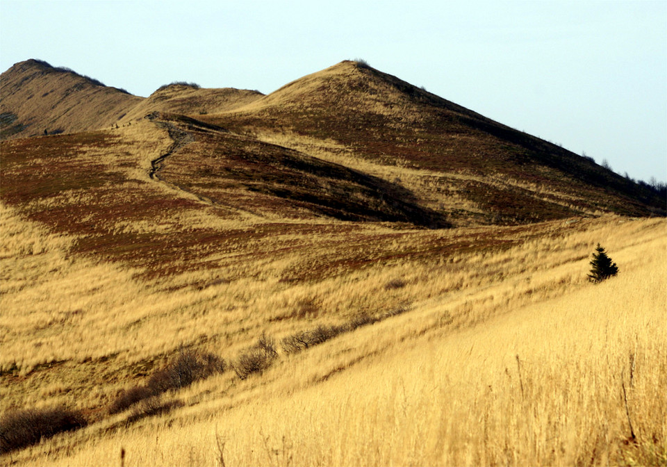 Bieszczady