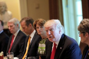 U.S. President Trump attends a lunch meeting with members of Congress at the Cabinet Room of the Whi