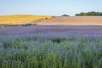 NSA: po stwierdzeniu nieważności części planu miejscowego możliwa decyzja o warunkach zabudowy