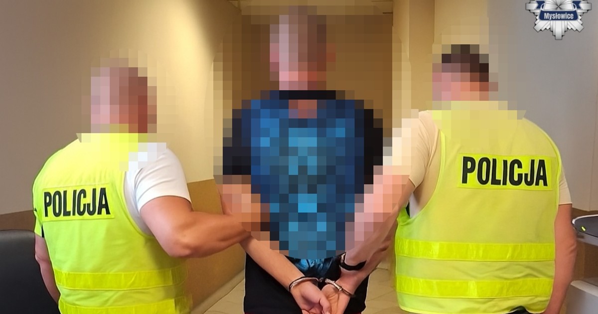 Brutalny atak nożownika w Mysłowicach. 29-letnia Patrycja W. walczy o życie