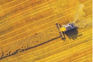 Fala tanich nawozów z Rosji i Białorusi potęguje problemy europejskiego przemysłu