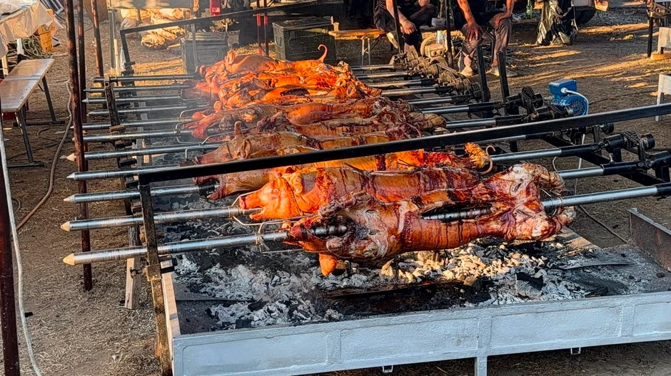 Jedanaest prasića su se pkla na ražnju