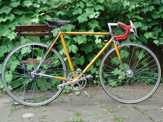 Rower holenderski (fot. flickr.com)