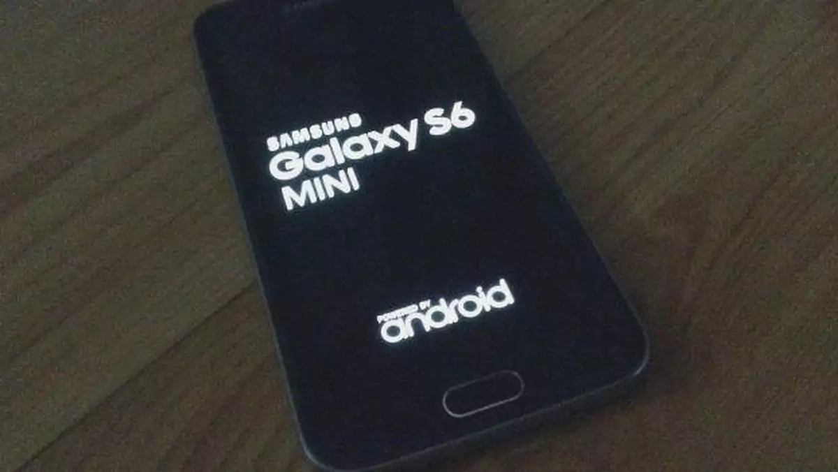 Samsung Galaxy S6 Mini pozuje na zdjęciach. Premiera na dniach?