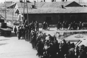 Concentration camp - Auschwitz