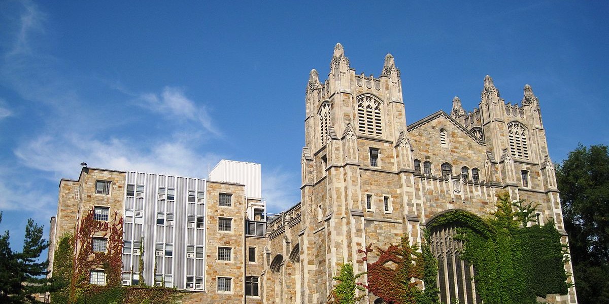 The 10 schools that have produced the most billionaires in the US