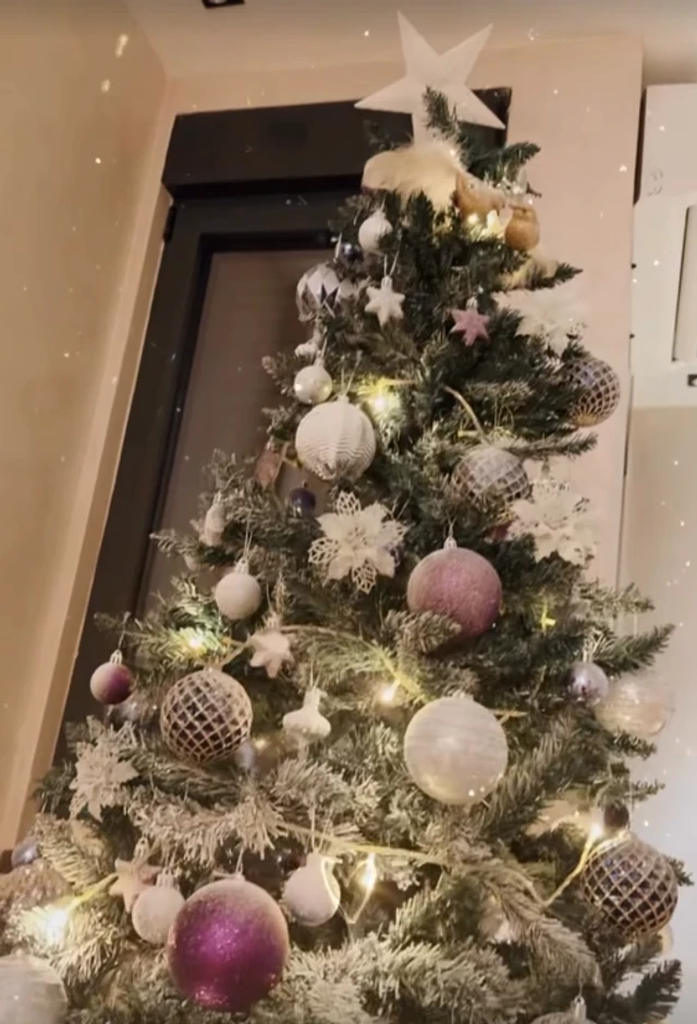 Da se prekrstiš i levom i desnom rukom: Evo čime je ukrasila jelku Deniz Dejm!