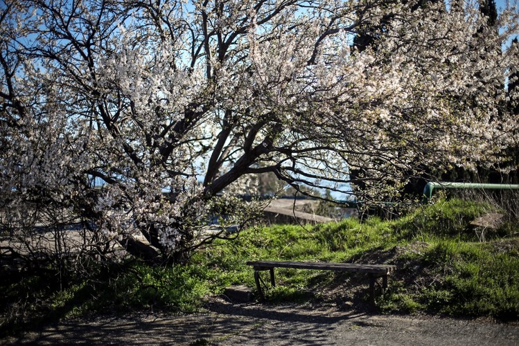 Artek, pionierski obóz nad Morzem Czarnym