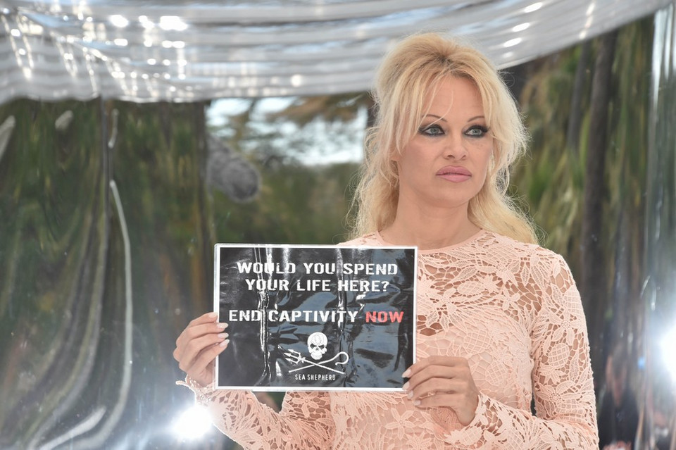 Pamela Anderson w Cannes