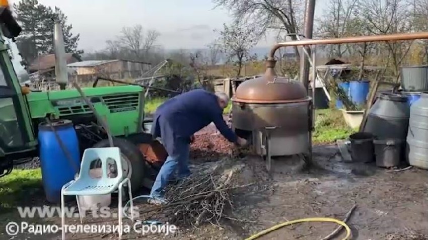Mile Tica, voćar iz okoline Čačka