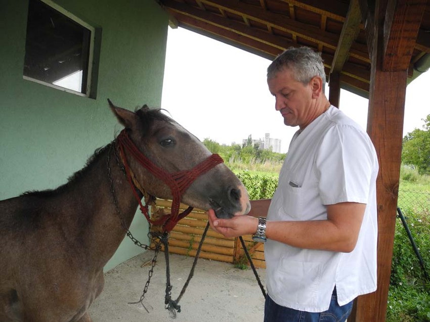Veterinar sa žderebetom