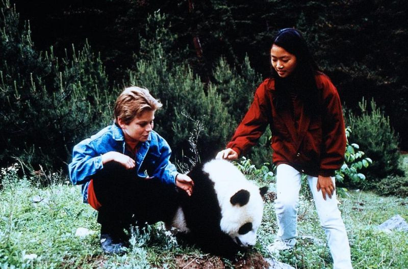 "Niezwykła przygoda małej pandy" (1995)