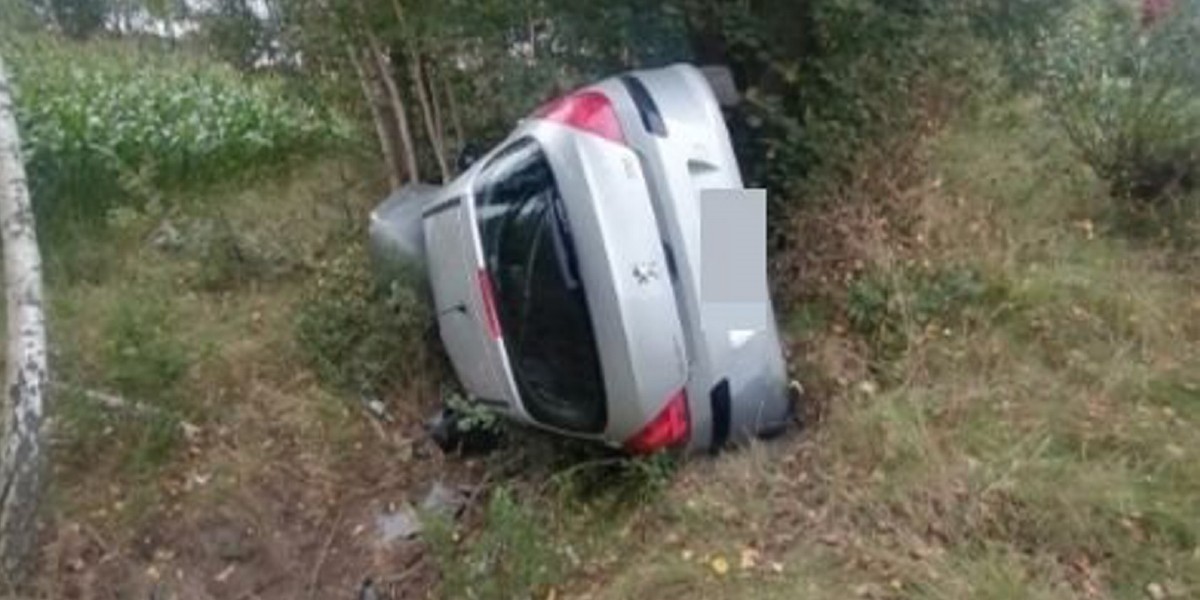 Auto wypadło z drogi i wylądowało na boku. Wszystko przez... muchę