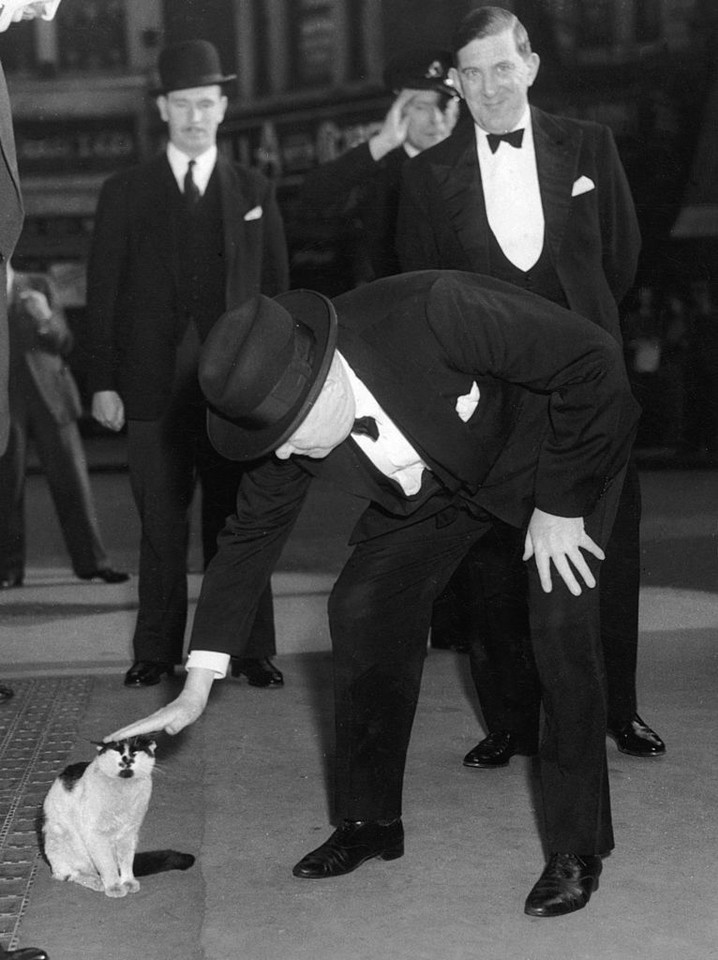 Sławni właściciele kotów: Winston Churchill