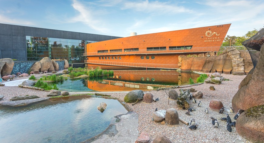 W 2015 roku nagrodę Grand Prix zdobyło Afrykarium z wrocławskiego ZOO.