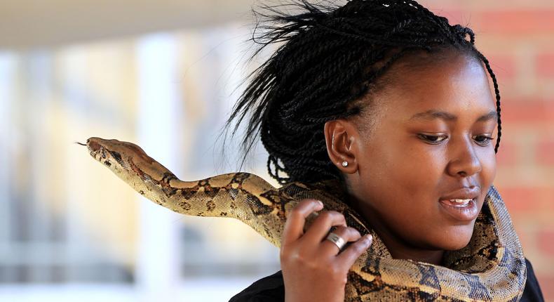 Snakes are deities in Nigeria (AP Photo/Themba Hadebe)