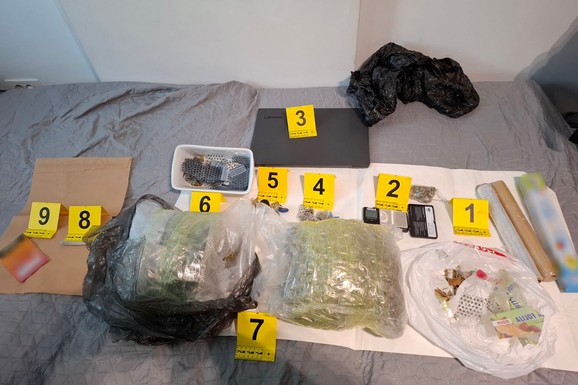 PALI DILERI SA PALILULE Policija uhapsila dvojicu muškaraca: U stanu im pronađeno 3 kilograma marihuane