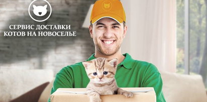 W Rosji dają kota do kredytu, ale tylko...