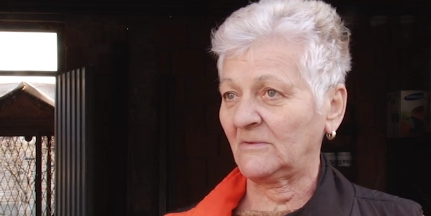 Vesna Grublješić Prokopljević, Prihvatilište za pse "Draževac"