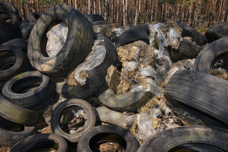 Setki opon i śmieci wyrzucone w Nadleśnictwie Lubsko
