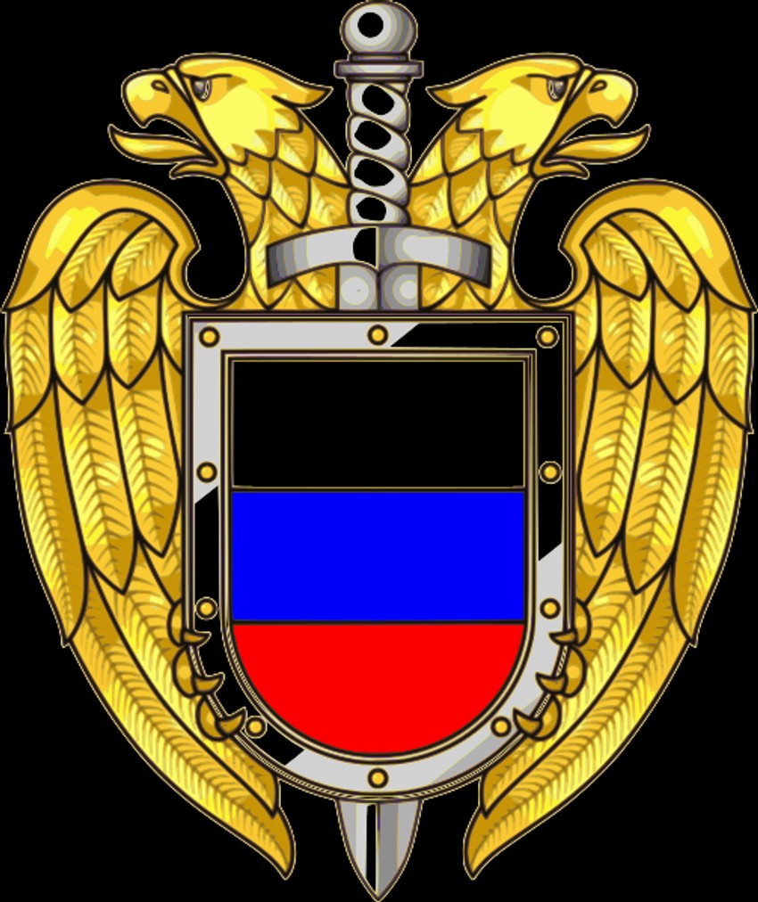 Logo FSO